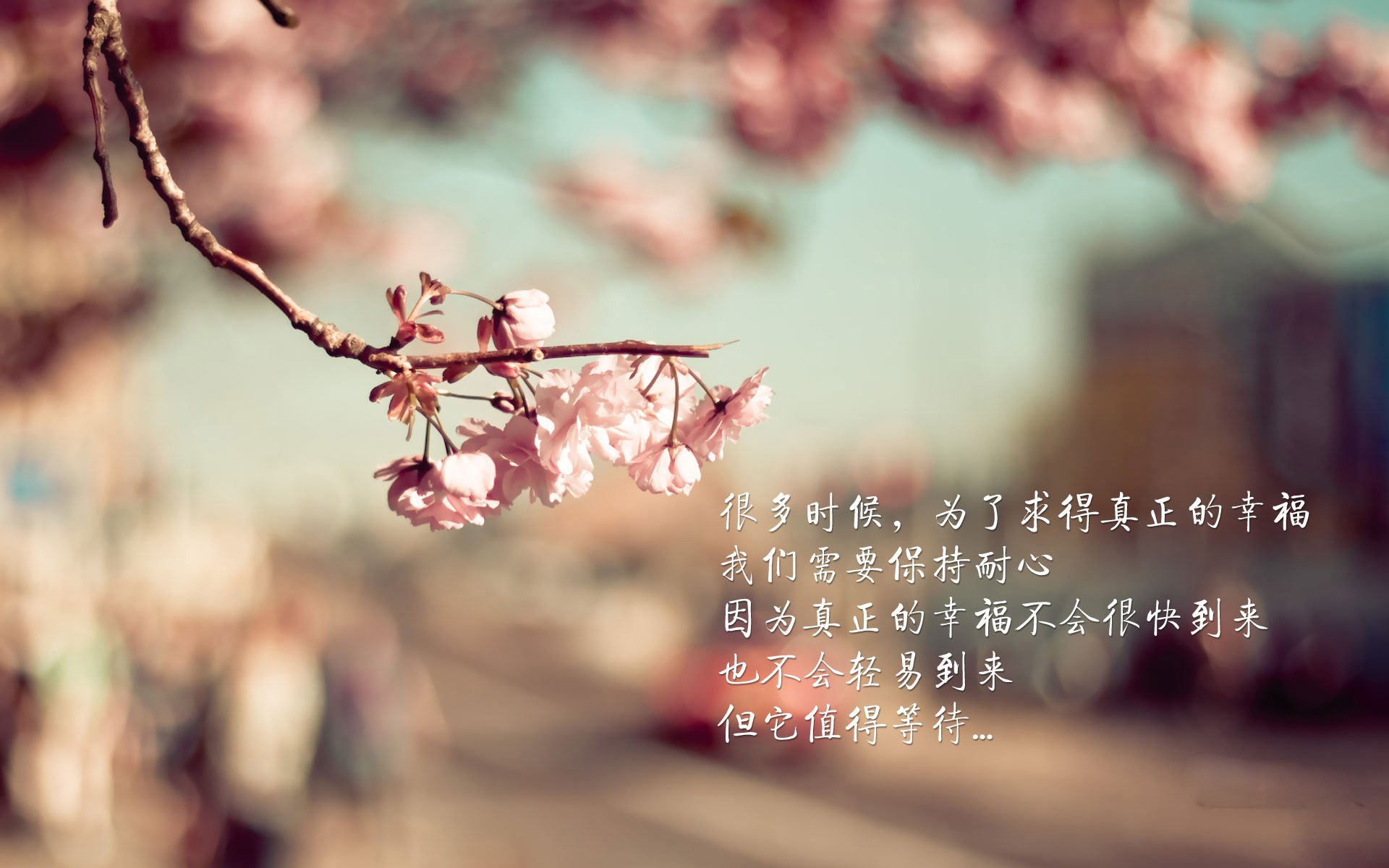 英超：热刺3-2险胜莱斯特城，孙兴慜表现抢眼，孙兴慜热刺进球数