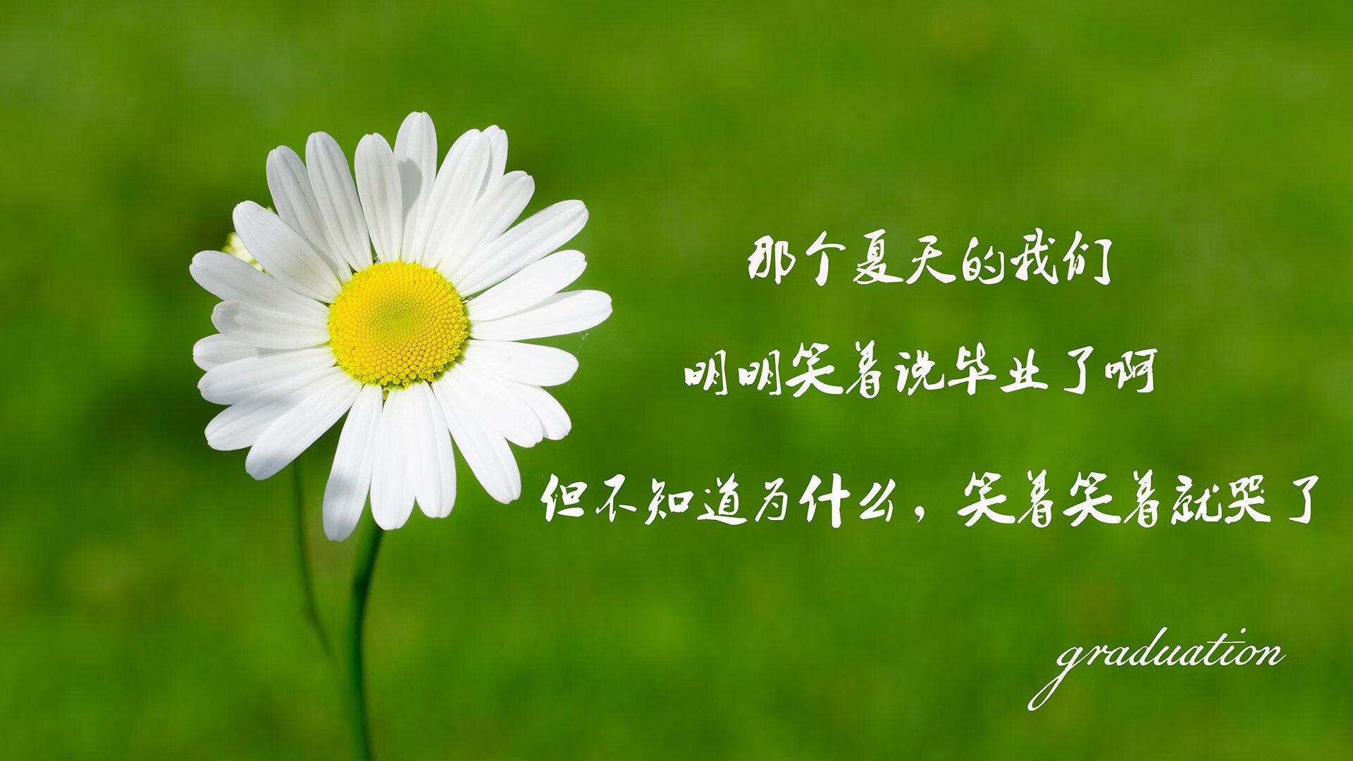 劲敌相逢！欧洲豪门球队将在比赛中较量，欧洲豪门另组欧洲联赛