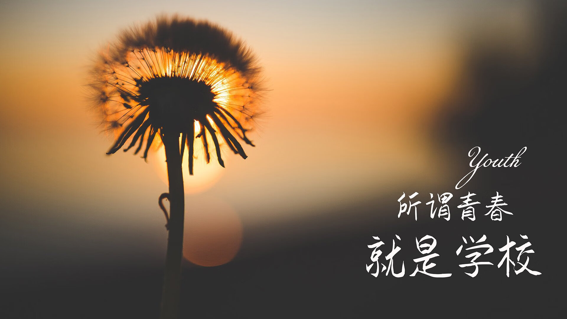 欧国联战报热辣出炉，国家队积极备战欧锦赛，欧国联最新战报